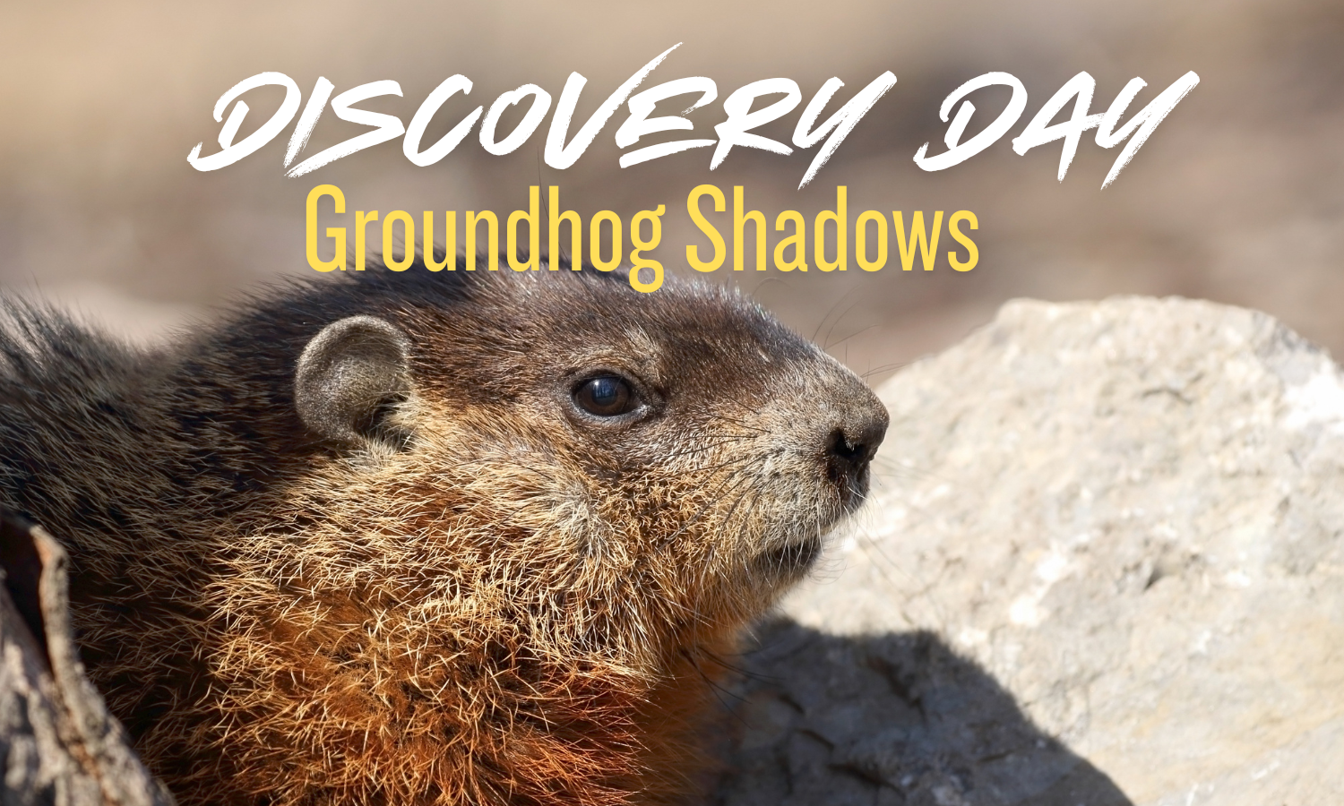 Discovery Days @ Barnes Nature Center: Groundhog Shadows