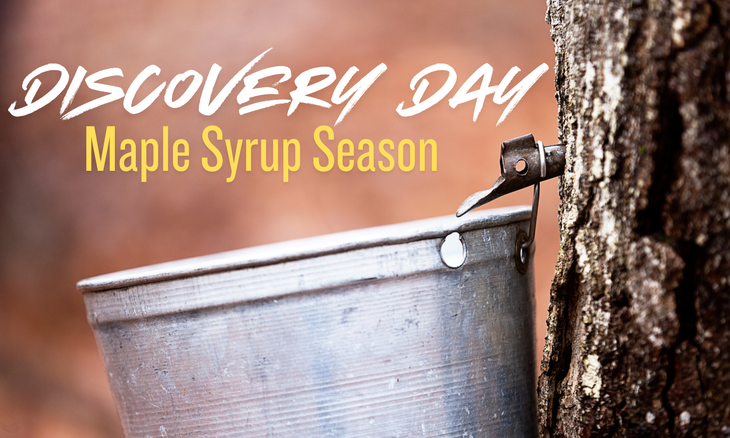 Discovery Days @ Barnes Nature Center: Maple Syrup Season