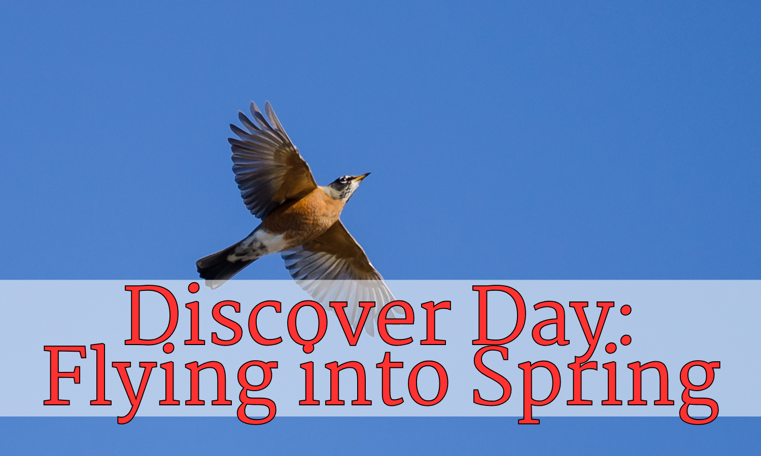 Discovery Days @ Barnes Nature Center: Flying into Spring