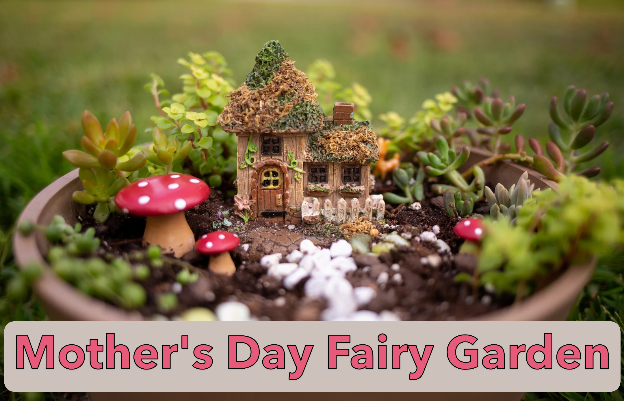 Mother's Day Fairy Gardens